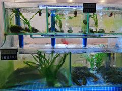 水产区-富临港·蒸汽海鲜·手抓海鲜·炒菜(栈桥店)