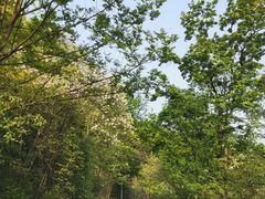 -金堂县云顶石城风景区