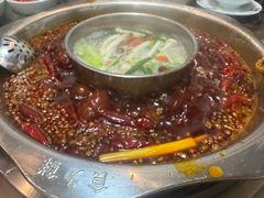 -枇杷园食为鲜火锅(南山店)