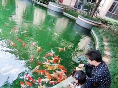 -上海浦东星河湾酒店