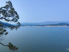 -广州市流溪河国家森林公园