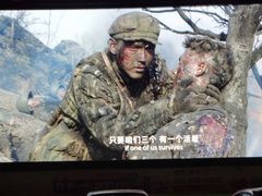 -枫花园汽车电影院(朝阳公园店)