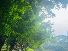 -深圳龙潭公园