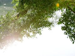 -晓港公园