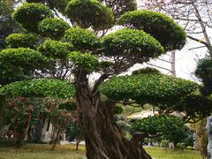 -荔枝公园(福田区)