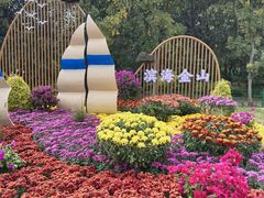 -上海共青森林公园