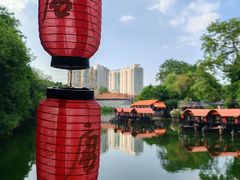 -侨美·唐荔园·40年地道粤菜