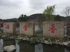 -香雪海