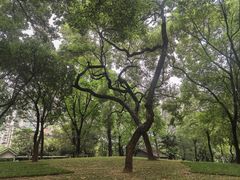 -晓港公园