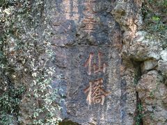 -树山生态村