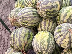 -冯校长老火锅(广州正佳广场店)