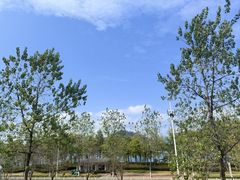 -宝荣鱼馆·临湖之宴(千岛湖店)
