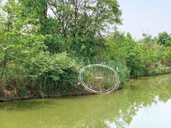 -白鹭湾湿地公园