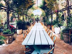 -The Grounds of Alexandria