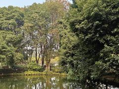 -成都市活水公园