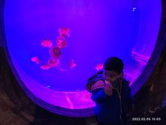 -华夏文旅海洋公园