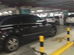-上海浦东国际机场T1航站楼-P1停车场