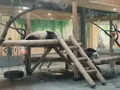 -西安秦岭野生动物园