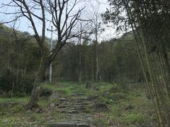 -东天目山风景区