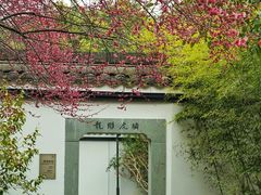 -茅家埠