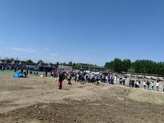 -上林马术中央公园·户外露营·团建·骑乘