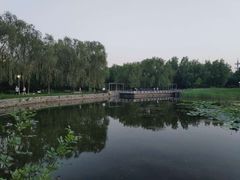 -望湖公园