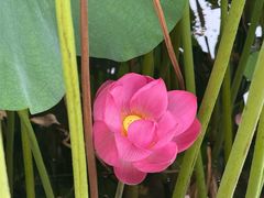 -莲池书院博物馆
