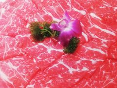 -清真军邺·金富苑肥牛(石坡街旗舰店)