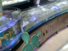 水产区-盒马鲜生(悠方店)