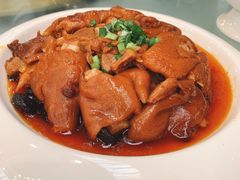 -满天星花园