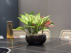 -517烧烤·龙虾·海鲜大排档(万象都荟店)
