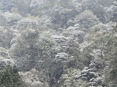 -缙云山景区