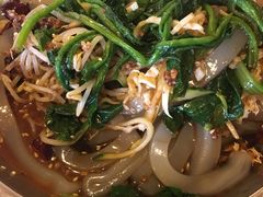 东北大拉皮-闯关东东北农家菜(崂山石老人店)