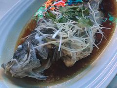 -新海利海鲜城·41年珠海老字号(夏湾店)