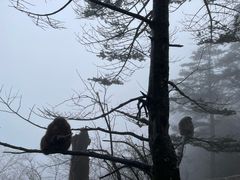-峨眉山风景名胜区