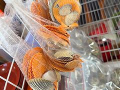 -蓝湾碧波·老字号·疍家非遗海上餐厅