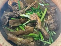 -霞姐屯昌枫木香草鸭店(海螺店)