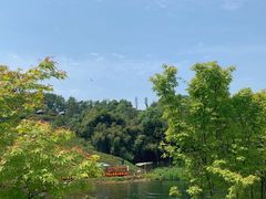 -黄龙溪欢乐田园
