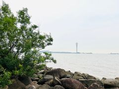 -上海吴淞炮台湾国家湿地公园
