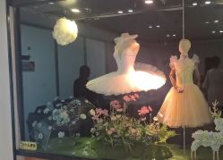 -艾薇芭蕾艺术中心