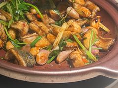 大煲啫黄鳝-陶陶居酒家(SM二期购物广场店)