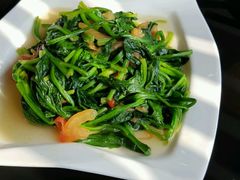 番茄炒青菜。。。-百家班(市府店)
