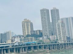 -石灰市毛记烧鸡公(解放碑店)