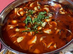 -重庆火锅水库鱼庄(南油店)