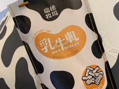 -瑞穗牧场