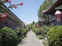-有喜胶东小馆(太申祥和店)