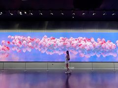 -罗红摄影艺术馆