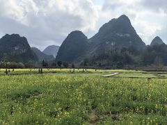 -靖西鹅泉风景区