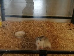 店内环境-怪咖纹身刺青