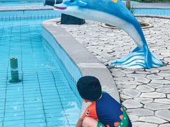 -南宫温泉水世界